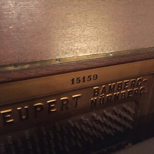 Neupert 5