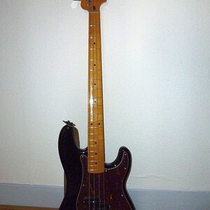 Squier