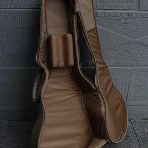 Taylor-gs-mini-e-bass03
