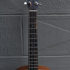Taylor-gs-mini-e-bass10