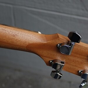 Taylor-gs-mini-e-bass11