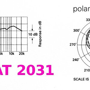 Frequenzgang AT2031