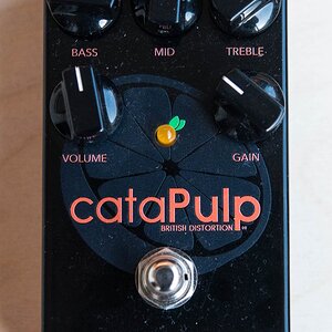 Wampler cataPulp
