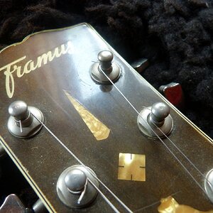 Framus S 360