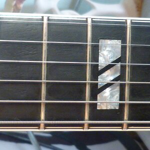 Framus S 360