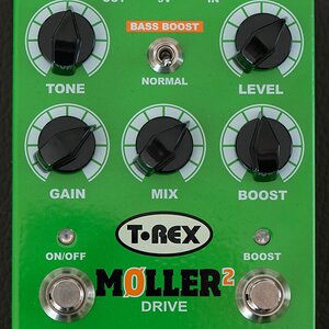 T-Rex Moller 2