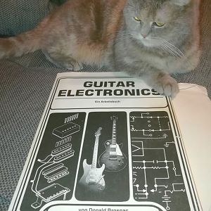 Guitar Electronics