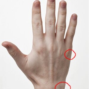 Hand