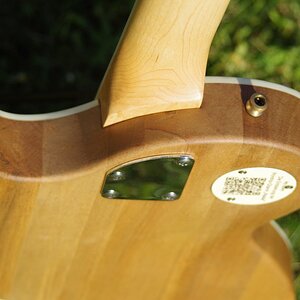 Paulus - die Worship-Gitarre mit dem gewissen Etwas