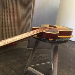 Binding Hals ambered