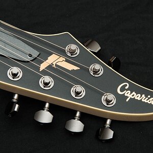 Caparison