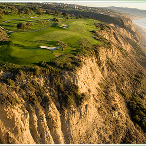 Torrey Pines