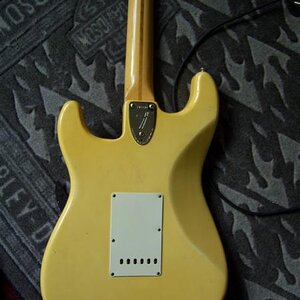 DSCI0014
