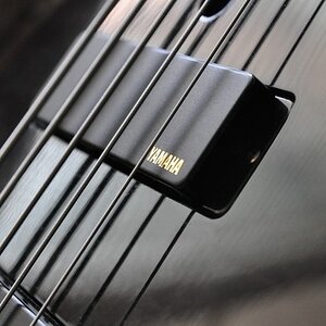 Saiten und Pickup