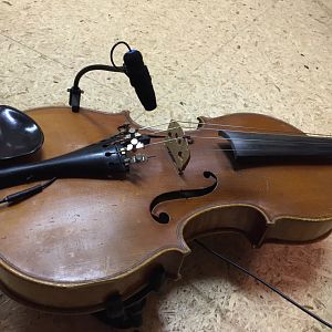 30 Mikro An Geige