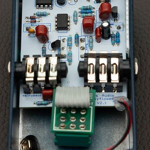 Walrus Audio Mayflower