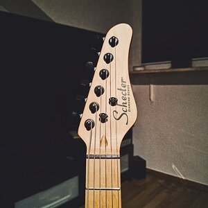 Schecter_4