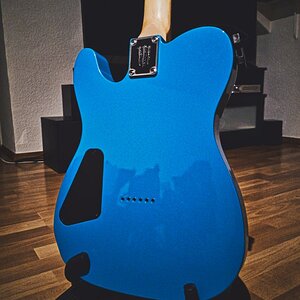 Schecter_6