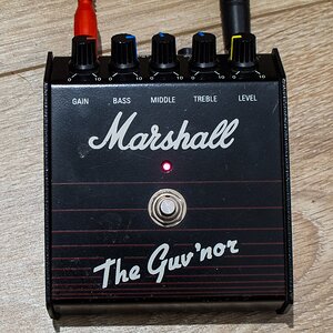 RJJC's Marshall The Guv'nor I