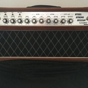 Amplified Nation Steel String Sultan