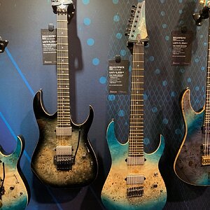 06IBANEZ_Poplar_1
