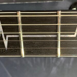 08IBANEZ_Signature_10