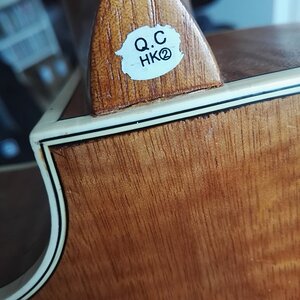 Riss Hals-Korpus-Übergang 01