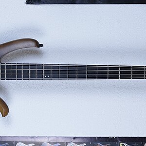 Ibanez Affirma A204 (1994)