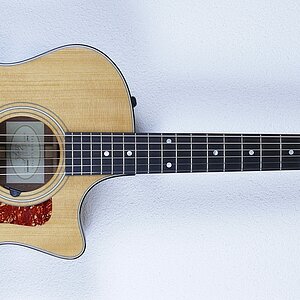 Taylor 314ce (2009)