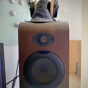 Focal_Shape_10