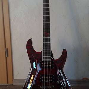 Schecter1