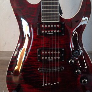 Schecter3