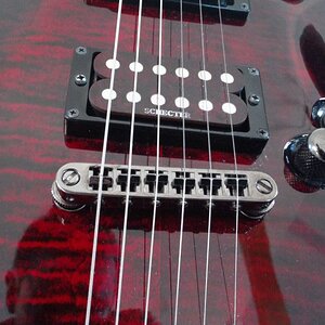 Schecter2