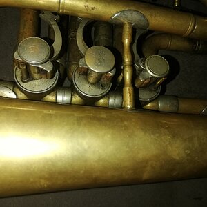IMG_20210129_095054