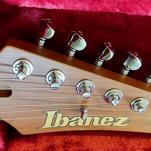 Ibanez AZN - 4.jpeg