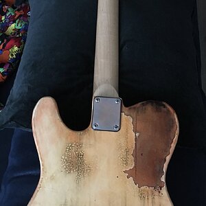 Neck mit WCS Locking Tuners