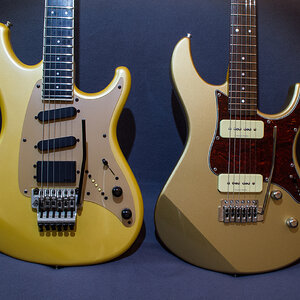RJJC's Goldtops.jpg
