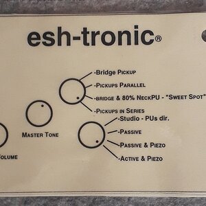 esh-tronic.jpg