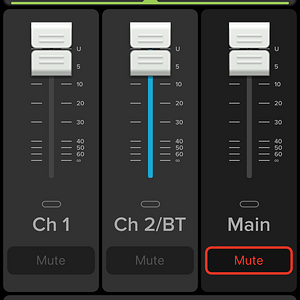 11 App Mute.PNG