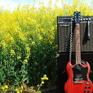 Old Amp, Old Guitar