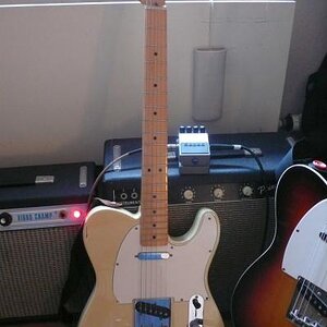 Parts-O-Caster

Aus diversen Fender + Rockinger-Teilen zusammengebaute "50´s Style" Tele.
Sie klingt fett und wuchtig - die perfekte Alternative zu meiner 60´s Custom.