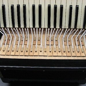 Hohner 96 Bässe 007