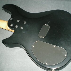 Korpus von hinten
