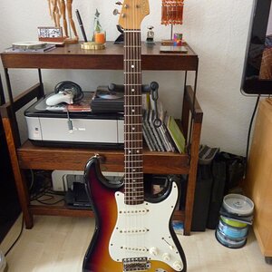 Tokai Goldstar Sound
E-stamped DiMarzio´s
64er Stratocaster Copie
Bj. 1981