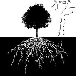 deep roots front big