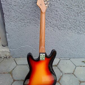 Gitarre hinten