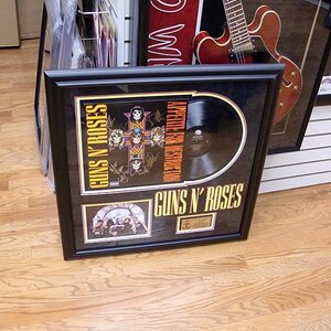 Appetite For Destruction Signed LP