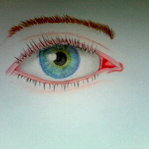 Blaues Auge1