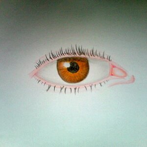 Braunes Auge