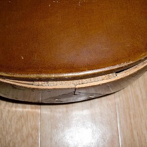 Mandoline
